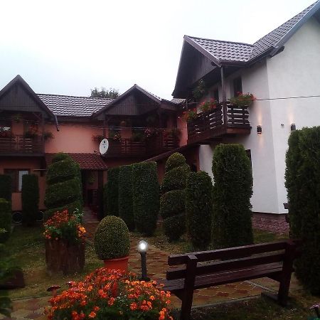 Pensiunea Denisa Sacalusesti Exteriér fotografie