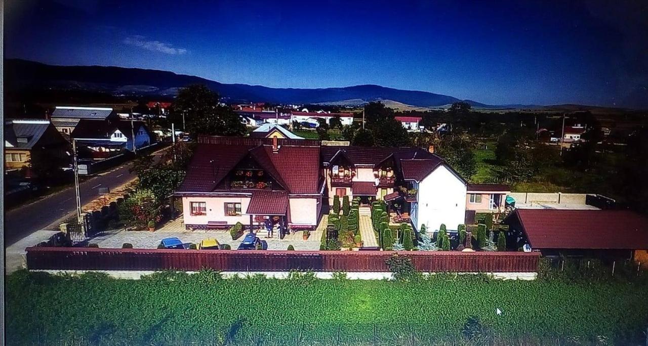 Pensiunea Denisa Sacalusesti Exteriér fotografie
