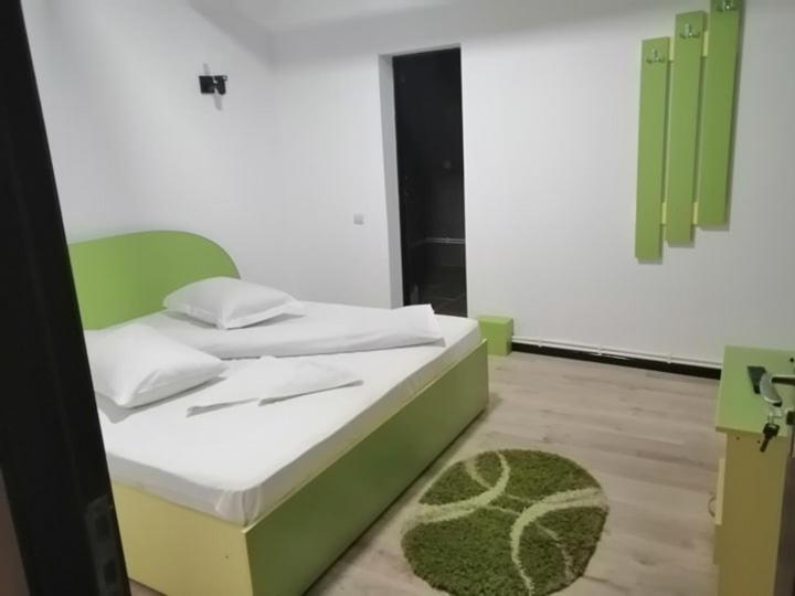 Pensiunea Denisa Sacalusesti Exteriér fotografie